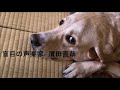 盲導犬と旅行なんてムリ？濱田直哉、尾張へ行くの巻