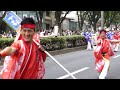 十人十彩　スーパーよさこい2013　表参道アベニュー