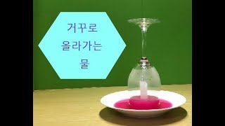 [과학 놀이] 거꾸로 올라가는 물/upside-down water/샤를의 법칙