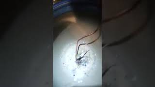 Orgone Bubble Tech Manifestation device for healing & improving life in general & making it pt4