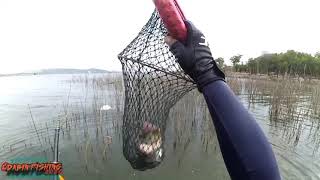 Amazing fishing for BIG TILAPIA FISH waduk gajah mungkur ‼️ klampis kering banyak ikan bersembunyi