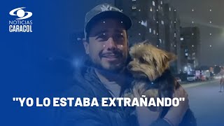 Emotivo reencuentro entre el perrito Vicente y su dueño en Bogotá