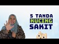 5 Tanda Kucing Sakit