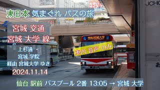 【 乗車中 音声のみ 】失われつつある路線バスに乗る 東日本 気まぐれ バスの旅 2024.11 宮城交通 富谷営業所 M1066 宮城大学線 仙台駅前 - 上杉通 - 宮城学院 - 宮城大学