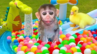 Baby Monkey Chu Chu Plays Water Park With Puppies And Eats Ice Cream So Yummy