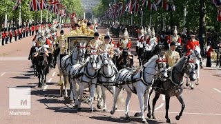 UKIP MP Periscopes Queen's Arrival | Mashable