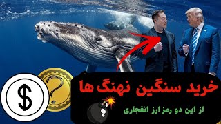 🚀این دو رمز ارز تا دو ماه دیگه 1000٪ رشد میکنند💥تا دیر نشده بخر#کریپتوکارنسی