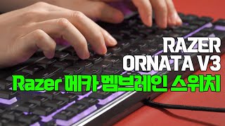 RAZER의 인체공학적🧠 디자인 키보드!! Razer Ornata V3 KR [키보드를 칩니다]