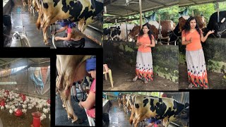 വയനാട്ടിലെ ഞങ്ങളുടെ വീട്ടിലെ പശുക്കളെയും കോഴികളെയും കാണേണ്ടേ