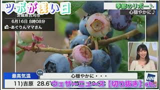 6/16【檜山沙耶】さやっちまとめ動画