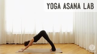 Yoga Asana Lab: Sun Salutations