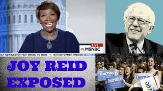 Joy Reid Attempts to Smear Bernie Sanders his Supporters and Progressives in General