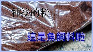 神袐的黑色物質⋯⋯⋯其實是 魚飼料啦！ 乾燥豐年蝦卵！！ 可是一個很營養的食物喔