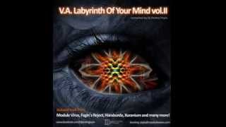 Fagin´s Reject -  Baby Ruthless (V.A. - LABYRINTH OF YOUR MIND vol. II - compiled by Ondrej Psyla)