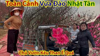 Tết Hà Nội 2025 - Choáng Cảnh Nhà Vườn Kêu Than Đào Cành Nhật Tân Ế Quá