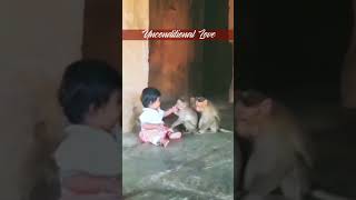 ನಿಸ್ವಾರ್ಥ ಪ್ರೀತಿ..   #emotional  #cute  #viral #viralvideo #animals #children #love