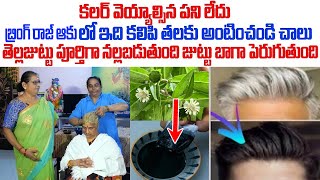 ఒక్క సారి రాస్తే చాలు మీ తెల్ల జుట్టు నల్లగా మారి జీవితంలో తెల్లబడదు | White Hair to Black Hair