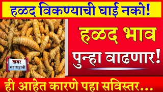 turmeric market : हळदीला मिळणार विक्रमी भाव, आजचे हळद भाव #हळदबाजारभाव