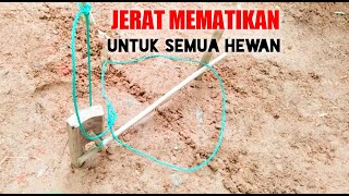 cara membuat jerat,jebakan mematikan semua hewan