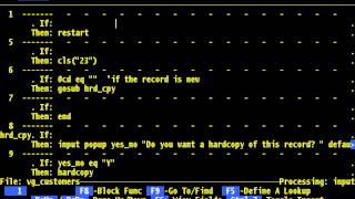 FilePro - Chapter 5 - Define Processing System Maintained Fields