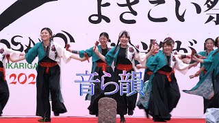 音ら韻　2024 よさこい祭りin光が丘公園　けやき広場　2024年7月14日（日）