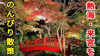 【秋の熱海】来宮駅周辺で神社も紅葉も温泉も満喫しました