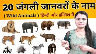 20 Wild Animals Name in Hindi and English with Pictures | 20 जंगली जानवरों के नाम | Animals Name