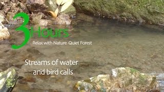 3時間の自然音ー静かな水と野鳥の歌声ー葉山の森ー3 Hours Calm Streams of Water and Bird Calls Nature Sounds of Japan