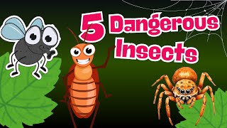 5 Dangerous Insects for Kids to Avoid