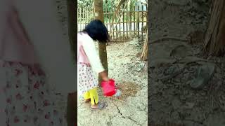 মেয়ে আমার গাছের সেবা করছে। #viralvideo #shortsvideo #youtubeshorts #shortvideo #family