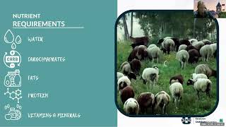 Proper Feeding of Ewes \u0026 Does During Pregnancy Webinar