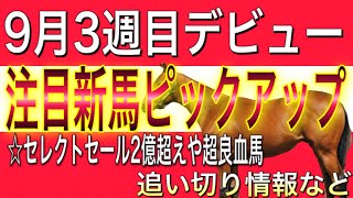 9月3週目 3日間開催 2歳新馬 注目馬情報 セレクトセール2億超えなど【POG】【一口馬主】