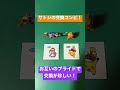 エテボースとブイゼルの交換コンビ アニポケ サトシ ブイゼル エテボース ポケモン 高評価 チャンネル登録