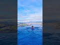 breathtaking views from the infinity pool in lucerne switzerland travel swissbeauty poolview