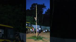 Unbelievable bamboo climbing skill of a kerala village boy 😳 മുളയിൽ കയറ്റം #viralshorts2022