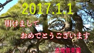 2017.1.1撮影　明けましておめでとうございます。（偕楽園の松竹梅）4K