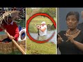 'Florida Man' Livestream - Inside Edition Streaming 24/7 on InsideEdition.com