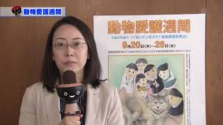 いわて！わんこ広報室【第23回】動物愛護週間～ペットを飼うなら、守ってほしい５つの事柄～