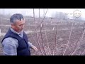 mening bog`im Тўғри шакл бериш баракали ҳосил гарови 15.04.2022