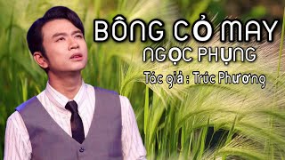 BÔNG CỎ MAY - NGỌC PHỤNG | Live tại Liveshow Tình Nhân | NGHE 1 LẦN LÀ NHỚ MÃI.