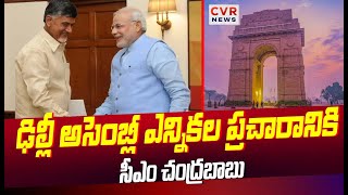 ఢిల్లీ అసెంబ్లీ ఎన్నికల ప్రచారానికి సీఎం చంద్రబాబు | CM Chandrababu | CVR News