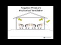 Effective Ventilation for Dairy Cows and Calves