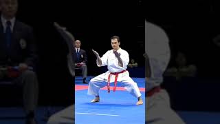 Karate Kata Gankaku by Luca Valdesi Classic Highlights WKF - 2010 (Part 1) #shorts #wkf #short