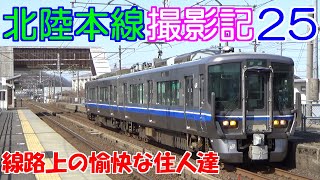 【鉄道】北陸本線 撮影記25 通過・発着集 ～線路住人達の日常～【列車】