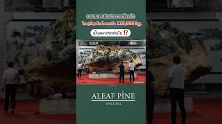 พารู้จักหยกแกะสลักกำแพงเมืองจีนที่ใหญ่ที่สุดในโลก😮⁉️ #aleafpine#หยกจีน#กำแพงเมืองจีนหยก#หยกแกะสลัก