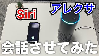 Siriとアレクサを会話させたら、アレクサがマウントを取り始めてひどいことになった...