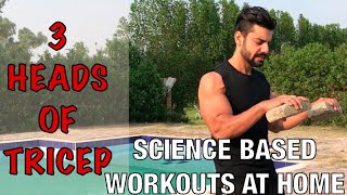 THE BEST TRICEP EXERCISES FOR BIGGER ARMS AT HOME | SCIENCE BASED | NO EQUIPMENT NEEDED | URDU