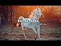 Most Beautiful Eid ul Adha Nasheed Collection 2026 🌙 | Emotional & Heart Touching