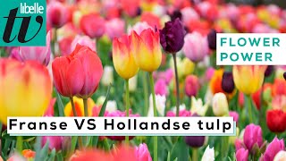 Het verschil tussen de Hollandse en Franse tulp - Libelle Flower Power