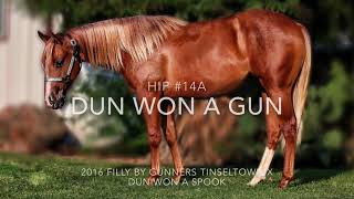 2017 Legacy Sale Consignment Hip #14A DUN WON A GUN